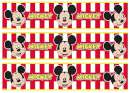 Mickey Mouse #2 Edible Icing Cake Strips